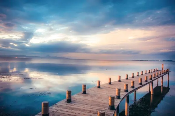 大学简介怎么填才正确