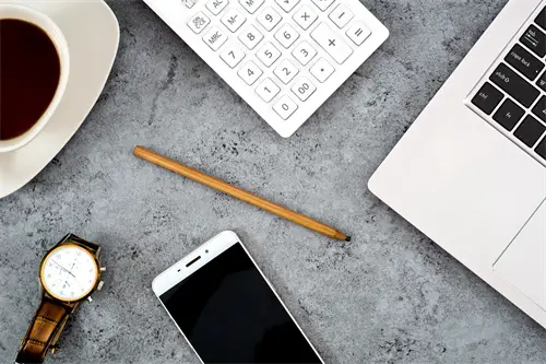 武汉大学武松简介